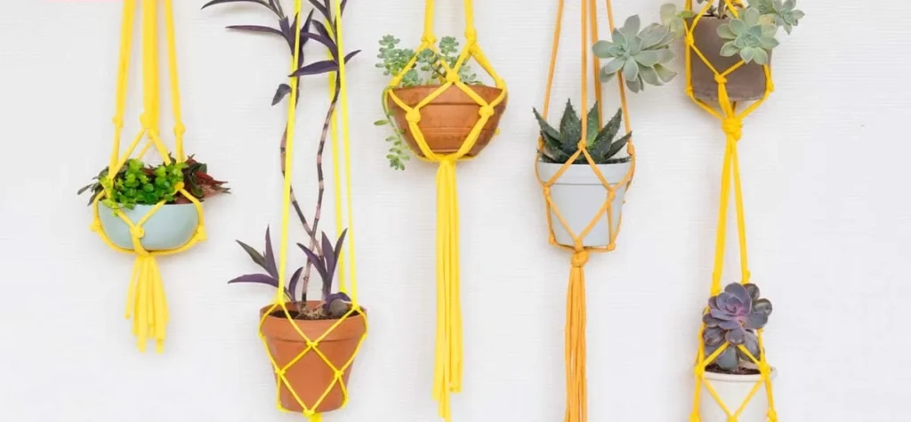 Include 2 or 3 trailing plants in macramé hangers. 