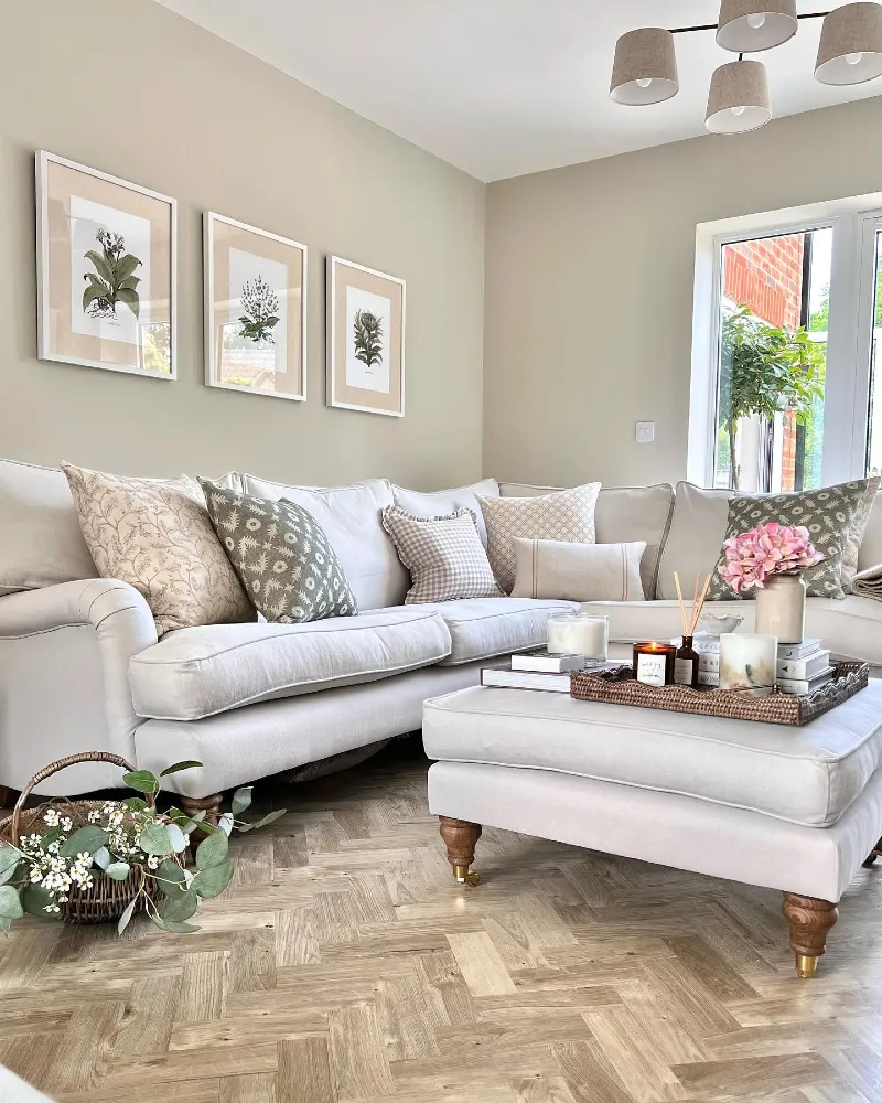 Light Neutral Color Scheme