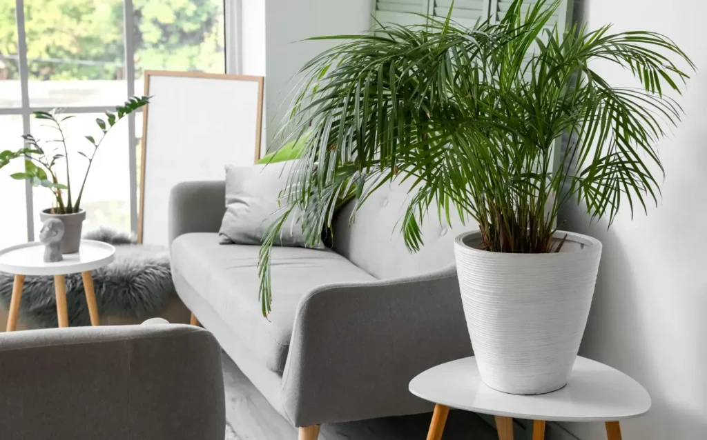 Add one tall plant or one statement plant